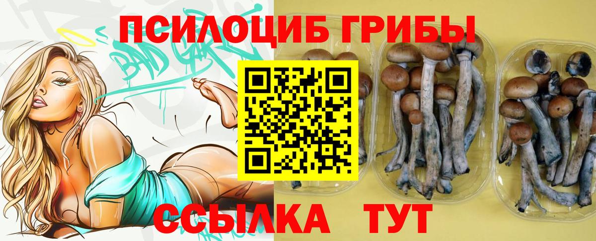 Псилоцибиновые грибы GOLDEN TEACHER Мариинск
