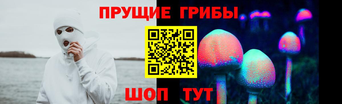 Мариинск  где купить наркотик  Вход с VPN  Галлюциногенные грибы Psilocybine cubensis  Псилоцибиновые грибы MAGIC MUSHROOMS 